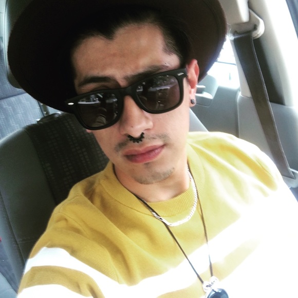 Meet your Posher, Oscar - Picture 1 of 1